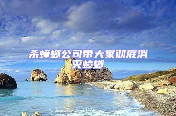 殺蟑螂公司帶大家徹底消滅蟑螂