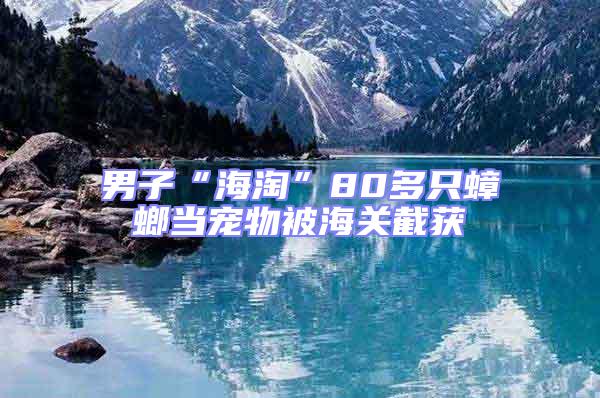 男子“海淘”80多只蟑螂當寵物被海關截獲