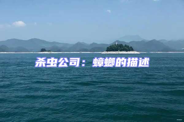 殺蟲公司：蟑螂的描述