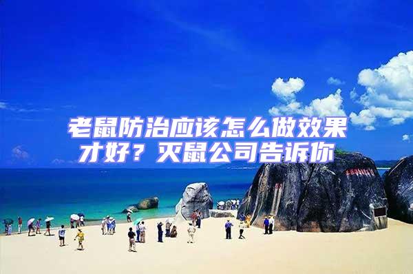 老鼠防治應該怎么做效果才好？滅鼠公司告訴你