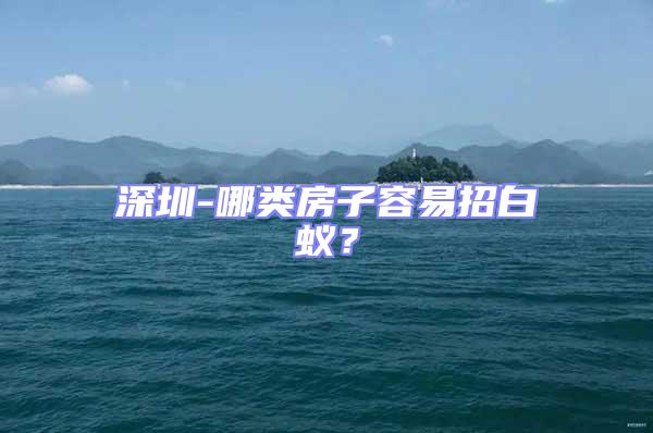 深圳-哪類房子容易招白蟻？
