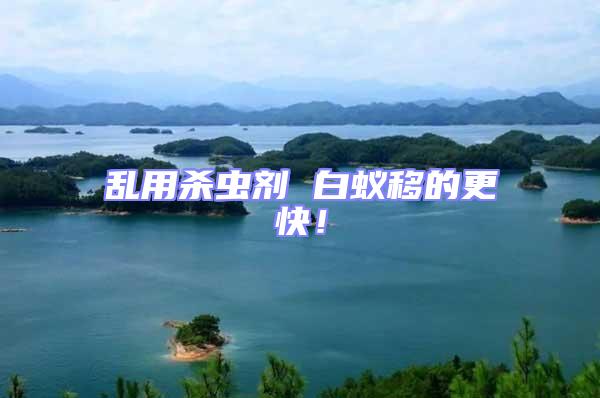 亂用殺蟲劑 白蟻移的更快！