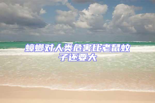 蟑螂對人類危害比老鼠蚊子還要大