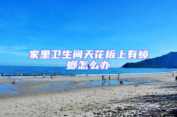 家里衛生間天花板上有蟑螂怎么辦
