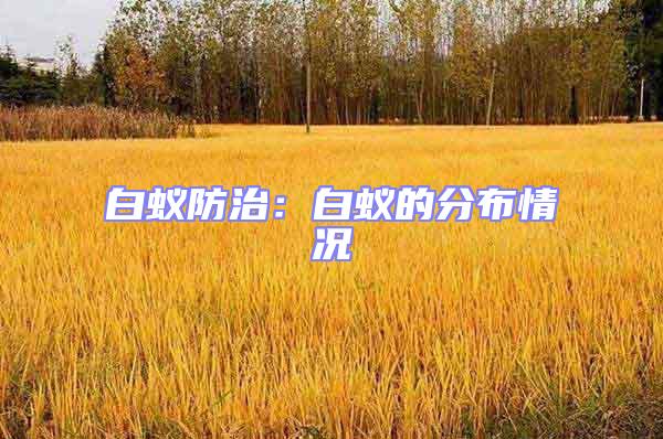 白蟻防治：白蟻的分布情況
