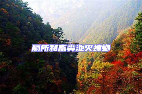 廁所和畜糞池滅蟑螂