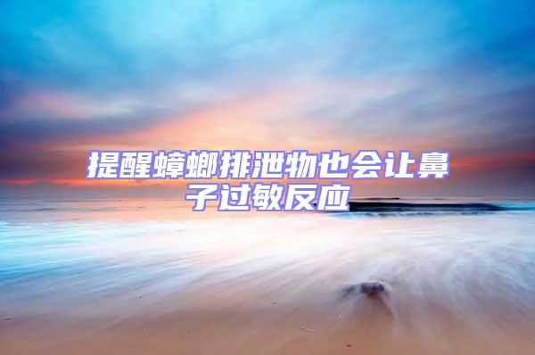 提醒蟑螂排泄物也會讓鼻子過敏反應