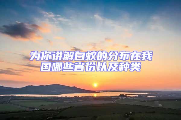 為你講解白蟻的分布在我國哪些省份以及種類