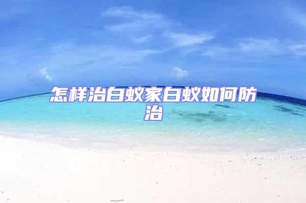 怎樣治白蟻家白蟻如何防治