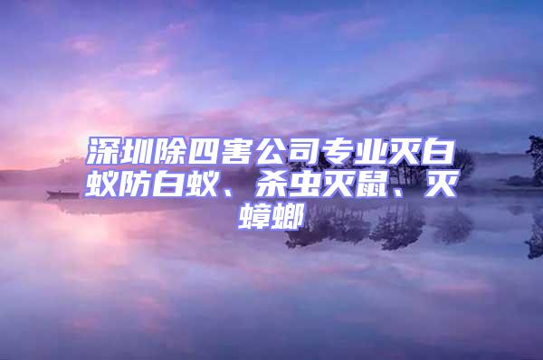 深圳除四害公司專業滅白蟻防白蟻、殺蟲滅鼠、滅蟑螂