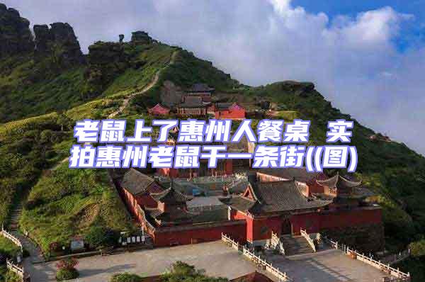 老鼠上了惠州人餐桌 實拍惠州老鼠干一條街((圖)