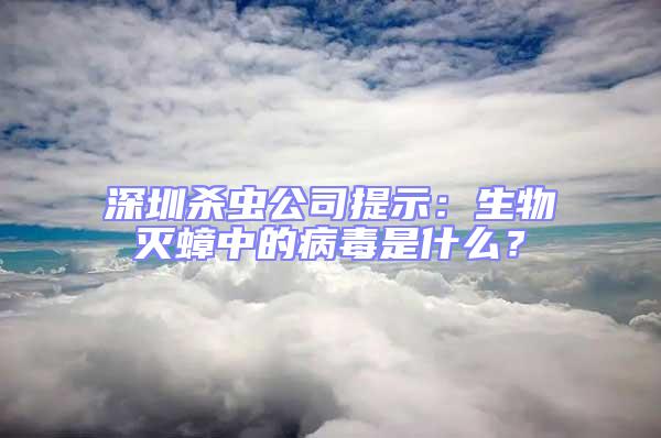 深圳殺蟲公司提示：生物滅蟑中的病毒是什么？