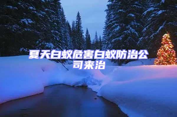 夏天白蟻危害白蟻防治公司來治