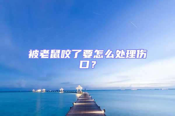 被老鼠咬了要怎么處理傷口？