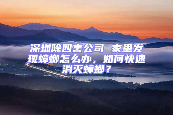 深圳除四害公司 家里發(fā)現(xiàn)蟑螂怎么辦，如何快速消滅蟑螂？
