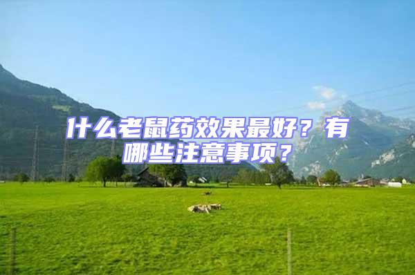 什么老鼠藥效果最好？有哪些注意事項？