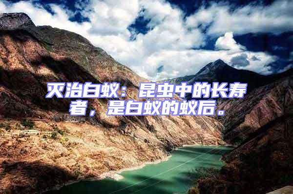 滅治白蟻：昆蟲中的長壽者，是白蟻的蟻后。