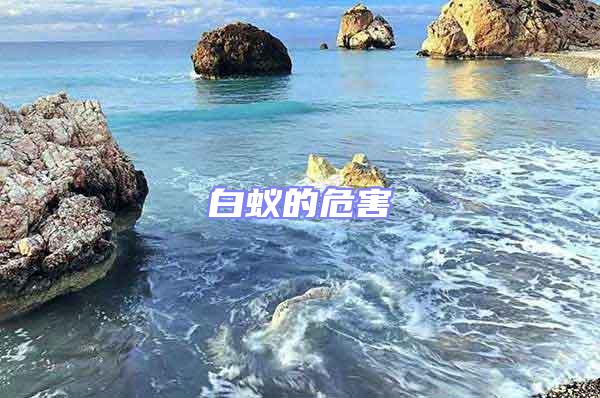 白蟻的危害
