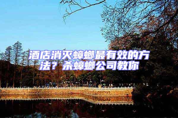 酒店消滅蟑螂最有效的方法？殺蟑螂公司教你