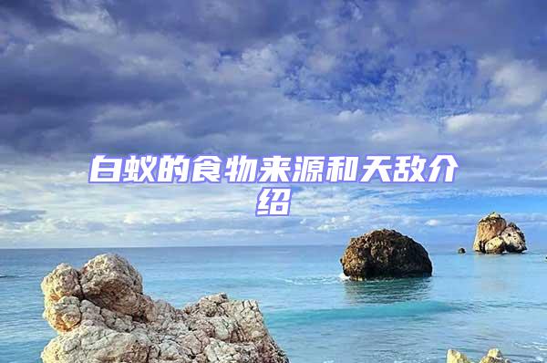白蟻的食物來源和天敵介紹