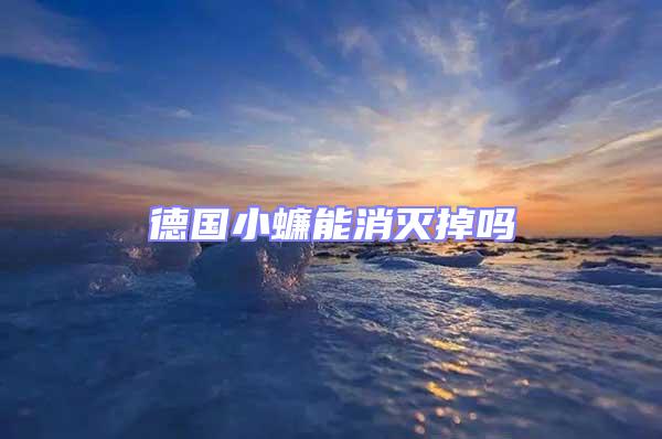 德國小蠊能消滅掉嗎