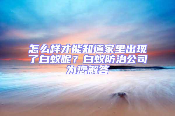 怎么樣才能知道家里出現了白蟻呢？白蟻防治公司為您解答