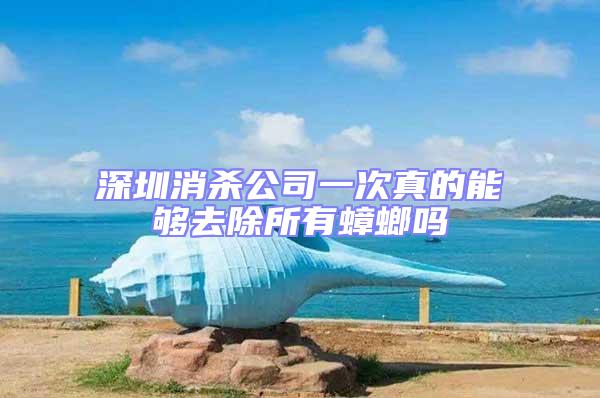 深圳消殺公司一次真的能夠去除所有蟑螂嗎