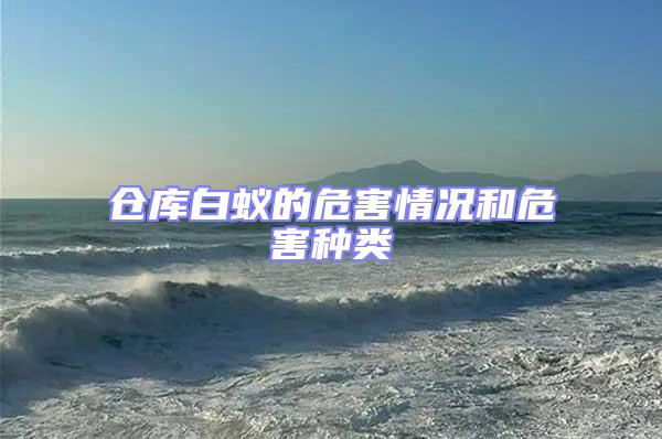 倉庫白蟻的危害情況和危害種類