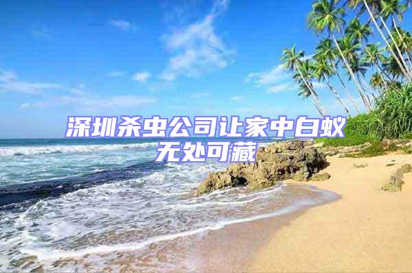 深圳殺蟲公司讓家中白蟻無處可藏