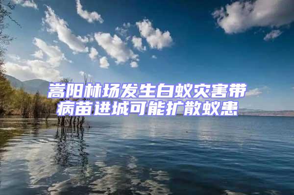 嵩陽林場發生白蟻災害帶病苗進城可能擴散蟻患