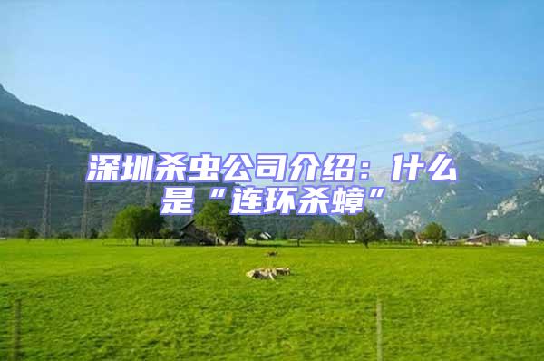 深圳殺蟲公司介紹：什么是“連環殺蟑”