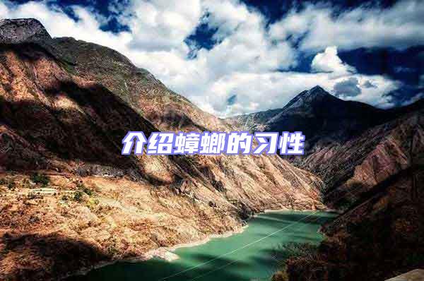 介紹蟑螂的習性