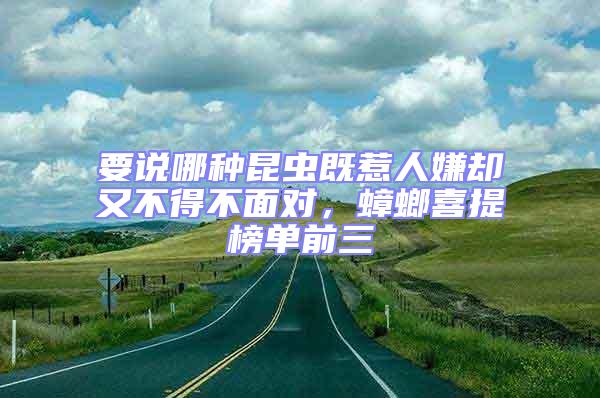 要說哪種昆蟲既惹人嫌卻又不得不面對，蟑螂喜提榜單前三