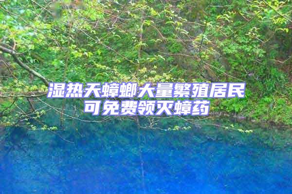 濕熱天蟑螂大量繁殖居民可免費領滅蟑藥