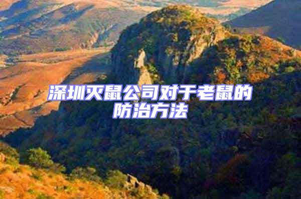 深圳滅鼠公司對于老鼠的防治方法