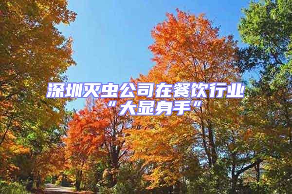 深圳滅蟲公司在餐飲行業“大顯身手”