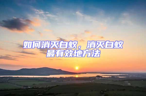 如何消滅白蟻，消滅白蟻最有效地方法