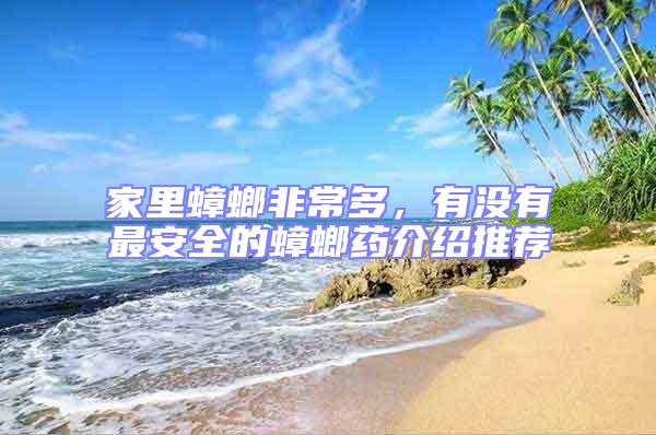 家里蟑螂非常多，有沒有最安全的蟑螂藥介紹推薦