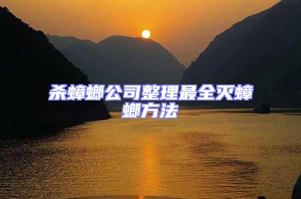 殺蟑螂公司整理最全滅蟑螂方法