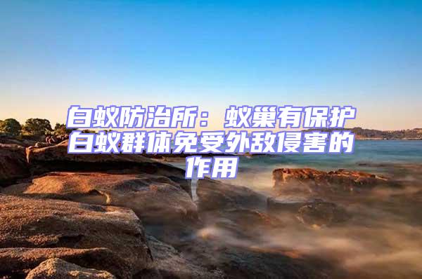 白蟻防治所：蟻巢有保護白蟻群體免受外敵侵害的作用