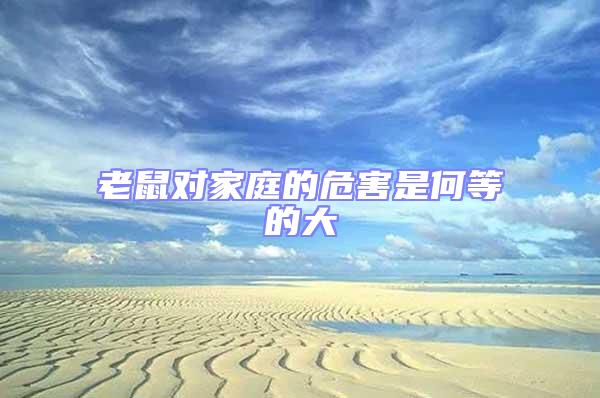 老鼠對家庭的危害是何等的大