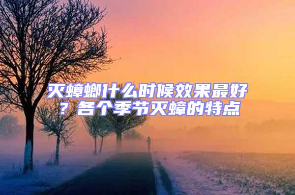 滅蟑螂什么時候效果最好？各個季節滅蟑的特點