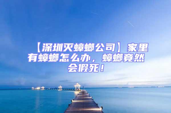 【深圳滅蟑螂公司】家里有蟑螂怎么辦，蟑螂竟然會(huì)假死！