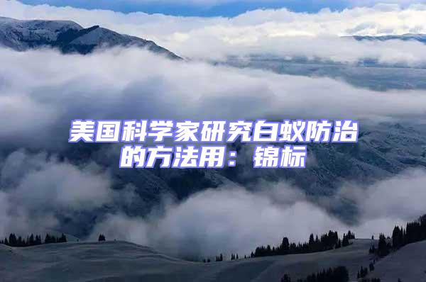 美國科學家研究白蟻防治的方法用：錦標