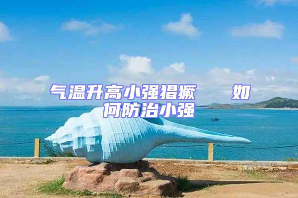 氣溫升高小強猖獗   如何防治小強