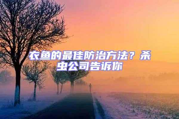 衣魚的最佳防治方法？殺蟲公司告訴你