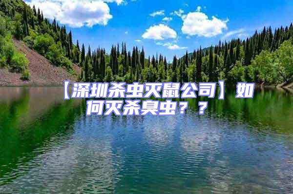 【深圳殺蟲滅鼠公司】如何滅殺臭蟲？？