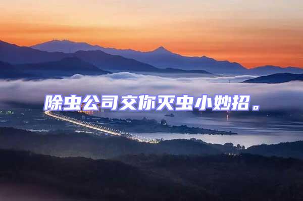 除蟲(chóng)公司交你滅蟲(chóng)小妙招。