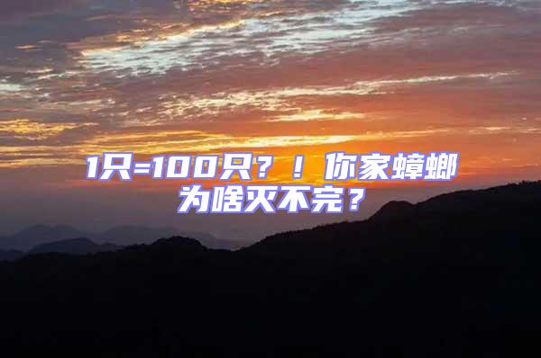 1只=100只？！你家蟑螂為啥滅不完？