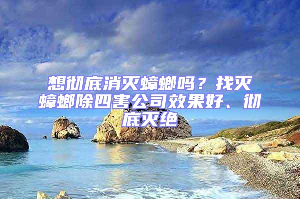 想徹底消滅蟑螂嗎？找滅蟑螂除四害公司效果好、徹底滅絕
